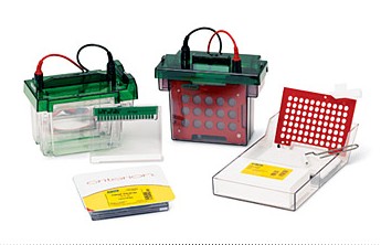 (l)CriterionA(y)zϵy(tng)